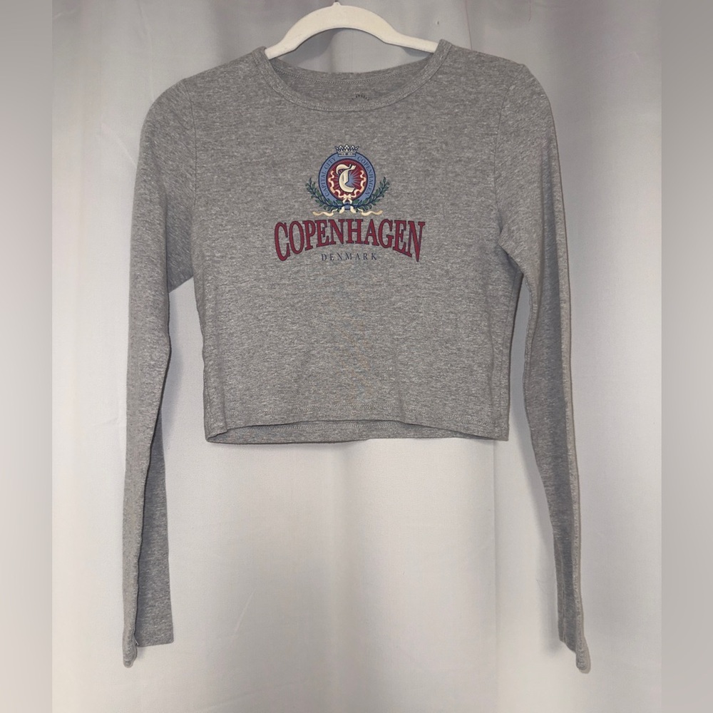 PacSun Gray Copenhagen Long Sleeve Crop Top
